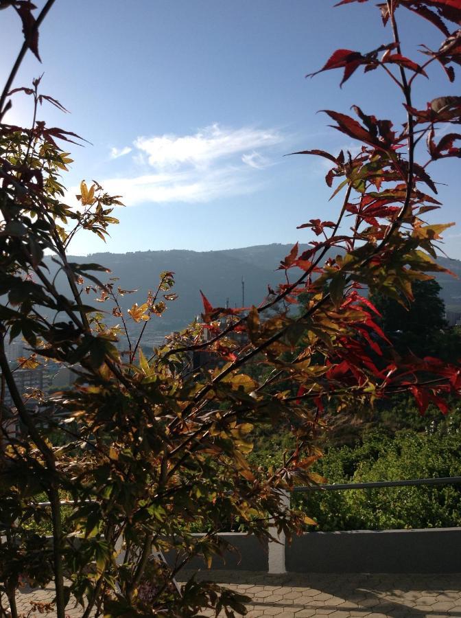 Douro Vally Inn Peso da Régua Exteriér fotografie